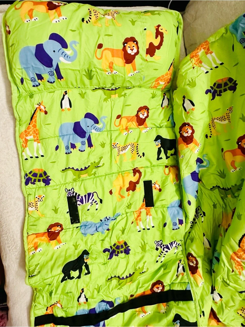 Wildkin Original Nap Mat with Pillow for Boys and Girls,Hook and Loop Fastener